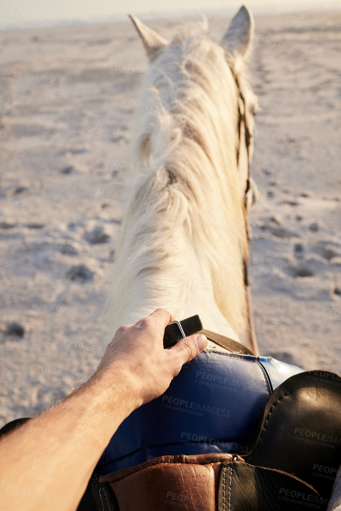 Buy stock photo Horse riding, beach and hand of person with animal for travel on holiday or vacation on an island with farm pet in nature. Getaway, trip and rider or tourist on tropical location, sea or ocean 