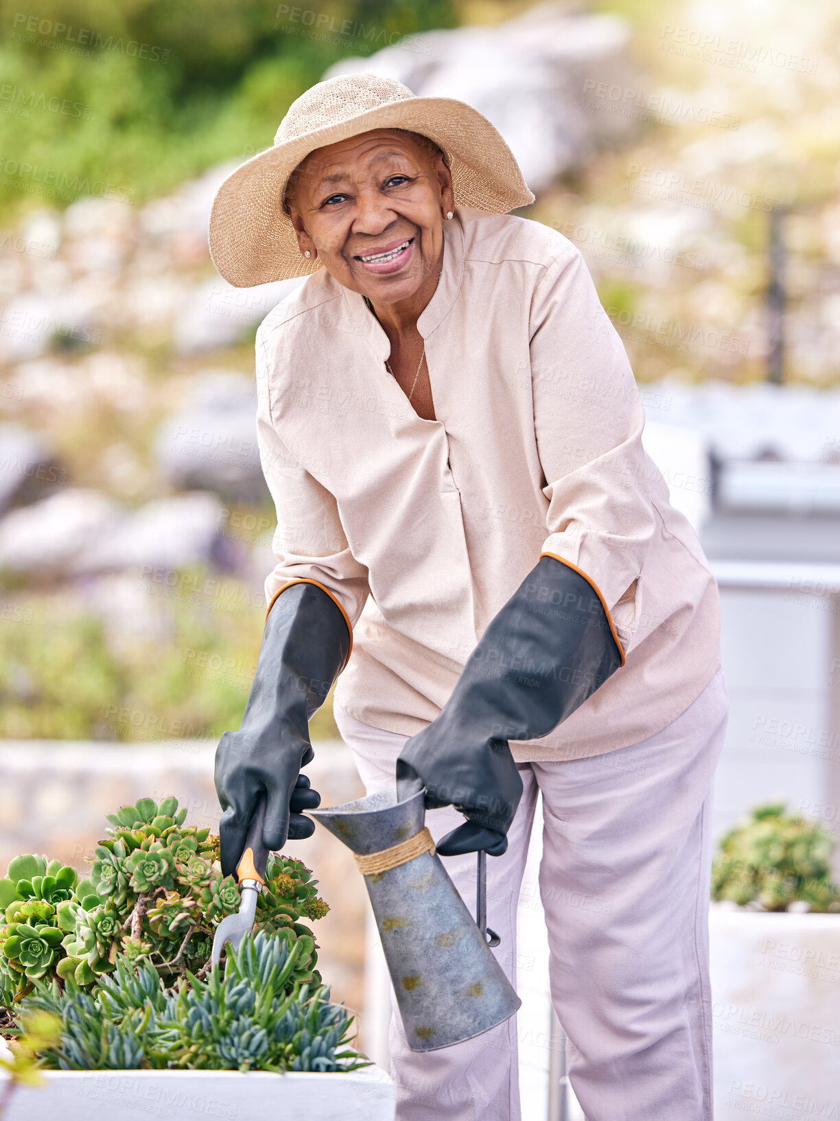 Buy stock photo Water, plants and old woman gardening outdoor with aloe vera, flowers and happiness in backyard nature. Happy, senior or elderly farmer with care for agriculture in retirement or sustainable greenery