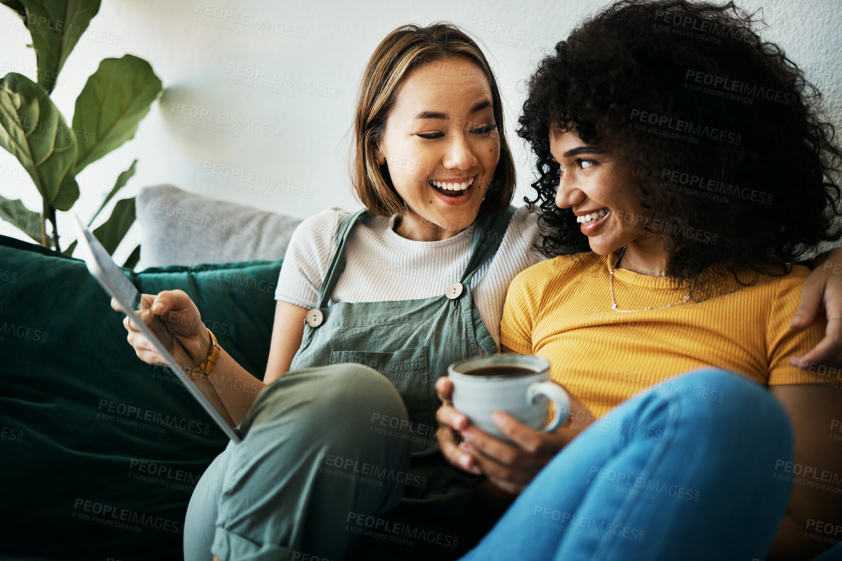 Buy stock photo Couple, sofa and women relax with tablet and coffee for social media, internet and watching videos. Love, lgbtq and happy people in living room for bonding, relationship and streaming movies online