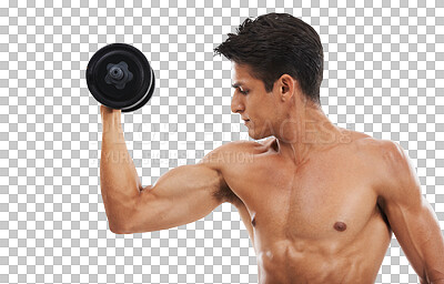 Buy stock photo Weightlifting, fitness and a man with muscle from exercise, training arms and working on health. Gym, person or strong athlete with weights for bodybuilding isolated on a transparent png background