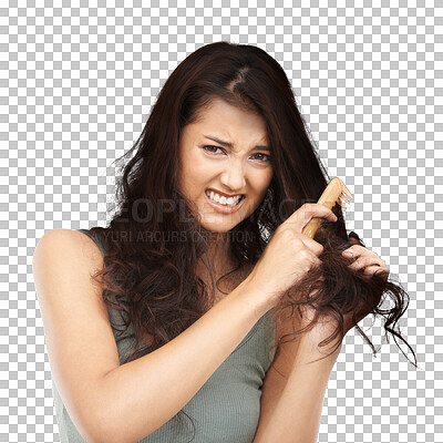 Buy stock photo Woman, knot hair and comb with portrait in frustration or beauty worry isolated on a transparent png background. Female model, damage and textures for growth in self care for salon or healthy results