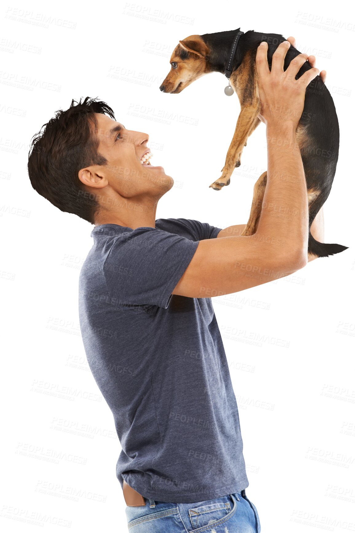 Buy stock photo Man, dog and smile or laughing with isolated on a transparent png background, playing and happy. Indian man, pet and love for fun, training and animal for health, loyalty and puppy for bonding