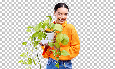 Portrait of woman in studio with plant, smile and happiness with house plants on blue background. Gardening, sustainable green hobby and happy gen z girl in mockup space for eco friendly garden shop.