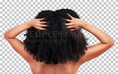 Hands in hair, black woman with afro and beauty, haircare and cosmetics with back on studio background. Female, natural cosmetic treatment with curly hairstyle, rear view and texture with grooming