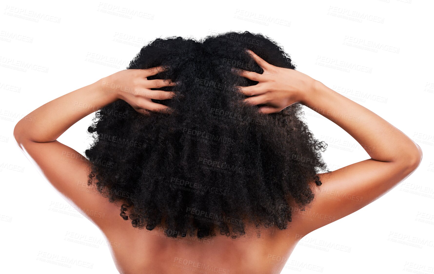 Buy stock photo Hands in hair, black woman with afro and beauty, haircare and cosmetics with back on png transparent background. Person, natural and cosmetic treatment with curly hairstyle, rear view and texture 