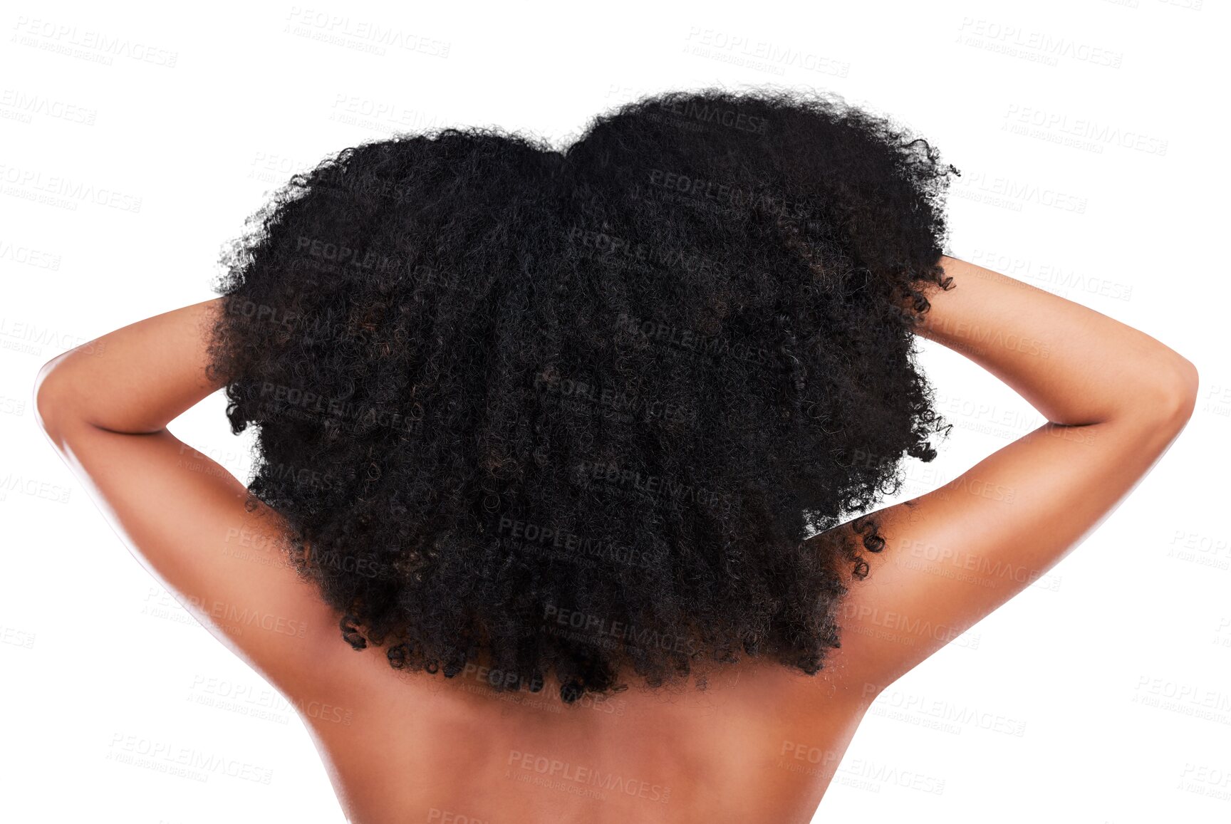 Buy stock photo Black woman, hands in hair and back with beauty, haircare and cosmetics with afro isolated on png transparent background. Person, natural and cosmetic treatment with curly hairstyle and texture 