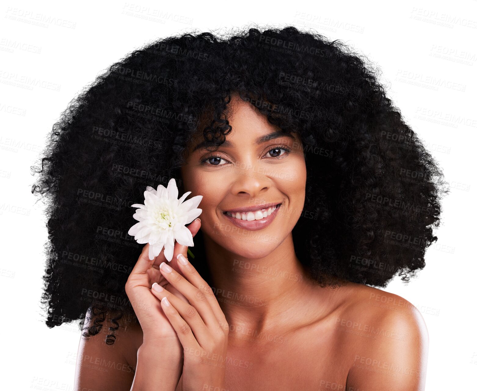 Buy stock photo Natural hair, woman with flower and afro in portrait, beauty and cosmetic care isolated on png transparent background. Haircare, nature and curly hairstyle with organic treatment, texture and growth