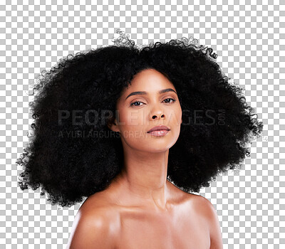 Buy stock photo Portrait, hair and salon with a afro black woman isolated on a transparent background for shampoo treatment. Face, beauty and a confident young model on PNG for natural, skincare or keratin haircare