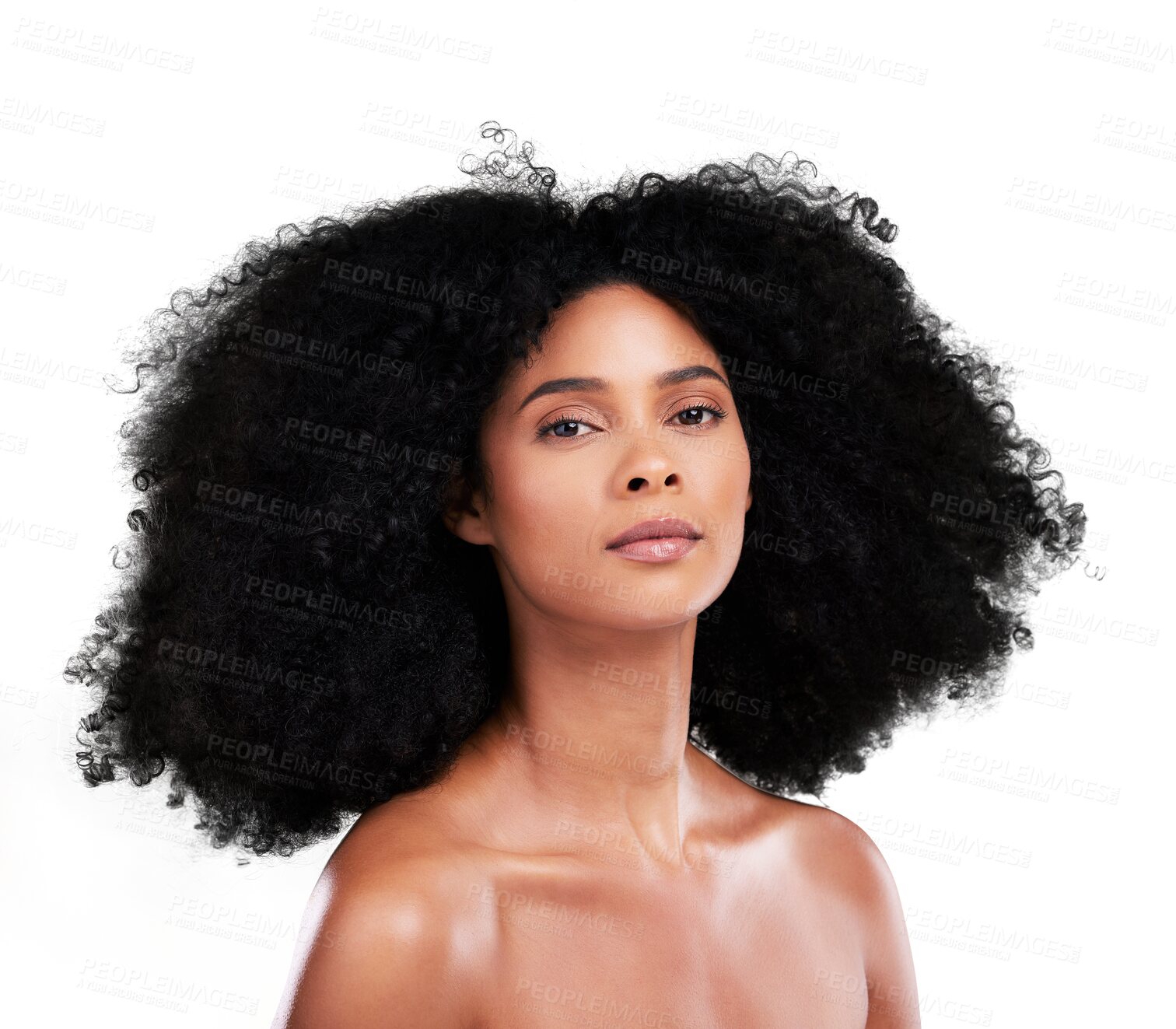 Buy stock photo Portrait, hair and salon with a afro black woman isolated on a transparent background for shampoo treatment. Face, beauty and a confident young model on PNG for natural, skincare or keratin haircare