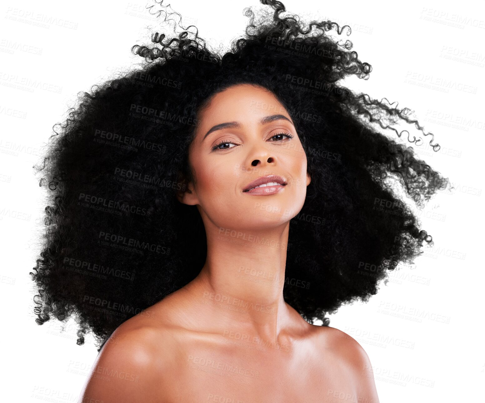 Buy stock photo Black woman, portrait and afro in beauty, hair care or cosmetics isolated on a transparent PNG background. Face of African female person or model with natural curly hairstyle, makeup or skincare glow