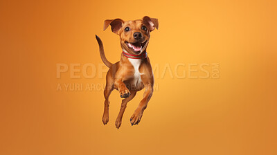 Buy stock photo Portrait of jumping happy dog. Leaping excited pose on flat yellow background