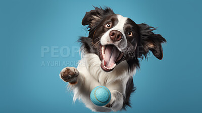 Buy stock photo Portrait of dog catching ball on blue background. Pet leaping or jumping in air