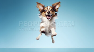 Buy stock photo Portrait of jumping happy dog. Leaping excited pose on flat blue background