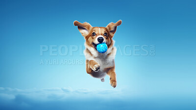 Portrait of dog catching ball on blue sky background. Dog leaping or jumping in air