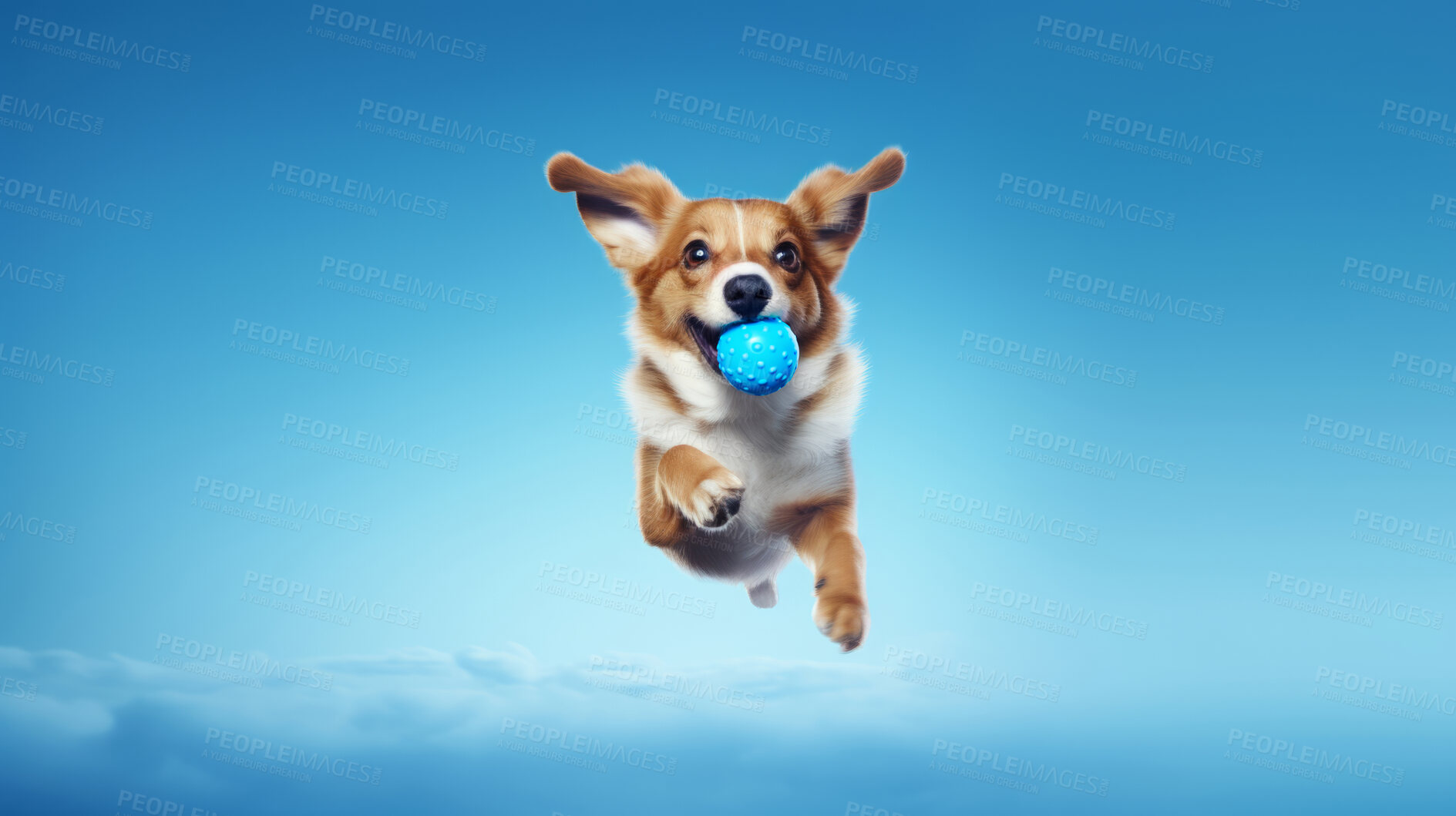 Buy stock photo Portrait of dog catching ball on blue sky background. Dog leaping or jumping in air