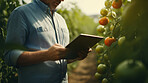 Farmer using a digital tablet in a field. Farming, agriculture and environmental technology