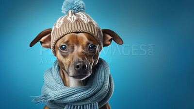 Dog wearing beanie cap and scarf. Portrait of pet dressed for autumn or winter