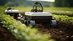 Futuristic robot working in field. Smart eco farming and digital innovation in agriculture.