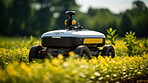 Futuristic robot working in field. Smart eco farming and digital innovation in agriculture.