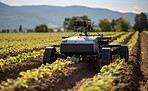 Futuristic robot working in field. Smart eco farming and digital innovation in agriculture.