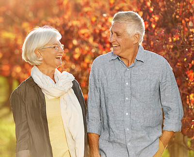 Buy stock photo Shot of smiling senior couple walking hand in hand together through a vineyard in the autumn
