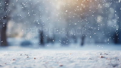 Winter snow background with snow-covered trees in the forest. Snow fall with bokeh