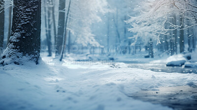 Winter snow background with snow-covered trees in the forest. Cold winter forest scene