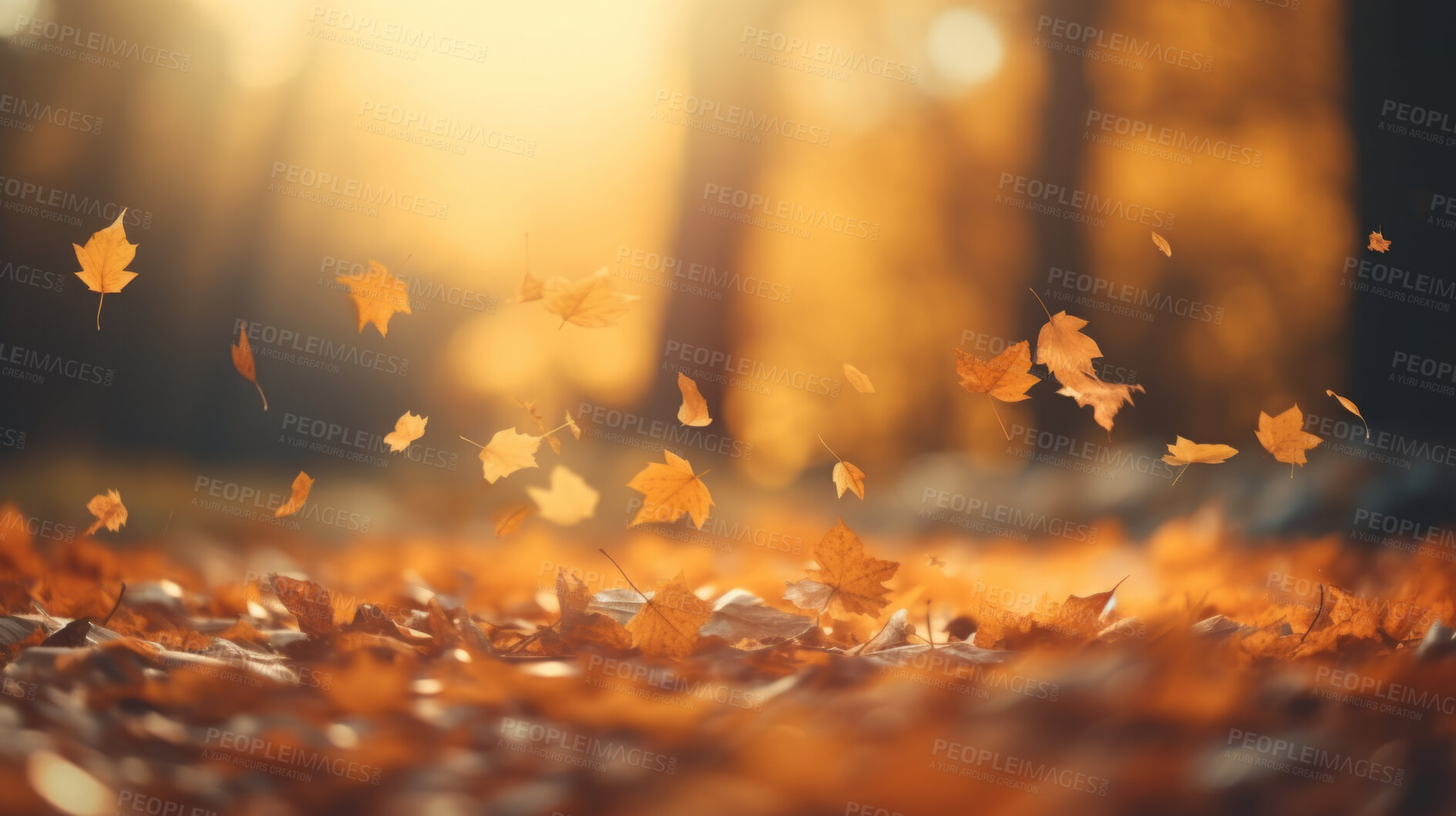 Buy stock photo Beautiful maple orange leaves in autumn season. Autumn colorful bright background