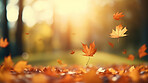 Beautiful maple orange leaves in autumn season. Autumn colorful bright background