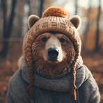 Bear wearing beanie and hoodie. Creative marketing campaign concept