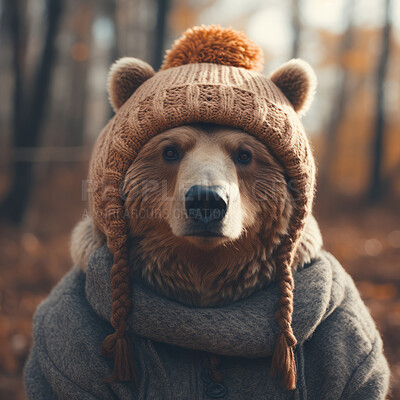 Bear wearing beanie and hoodie. Creative marketing campaign concept
