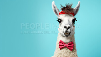 Llama wearing bow tie and headband on blue background. Creative marketing campaign concept