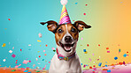 Portrait of a cute dog wearing a party hat for birthday celebration