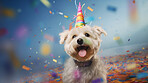 Portrait of a cute dog wearing a party hat for birthday celebration