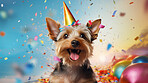 Portrait of a cute dog wearing a party hat for birthday celebration