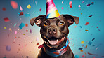 Portrait of a cute dog wearing a party hat for birthday celebration