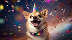Portrait of a cute dog wearing a party hat for birthday celebration