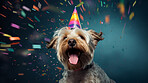 Portrait of a cute dog wearing a party hat for birthday celebration