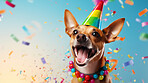 Portrait of a cute dog wearing a party hat for birthday celebration