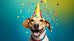 Portrait of a cute dog wearing a party hat for birthday celebration