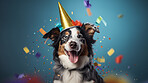 Portrait of a cute dog wearing a party hat for birthday celebration