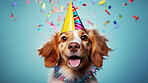 Portrait of a cute dog wearing a party hat for birthday celebration