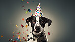 Portrait of a cute dog wearing a party hat for birthday celebration