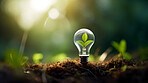 Green eco friendly lightbulb. Environmental Sustainability, Green energy and Earth Day