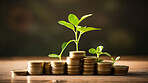 Plants growing on a pile of coins. Finance, banking and investment concept.