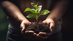 Close Up Plant in hands. Care of the Environment. Sustainability concept