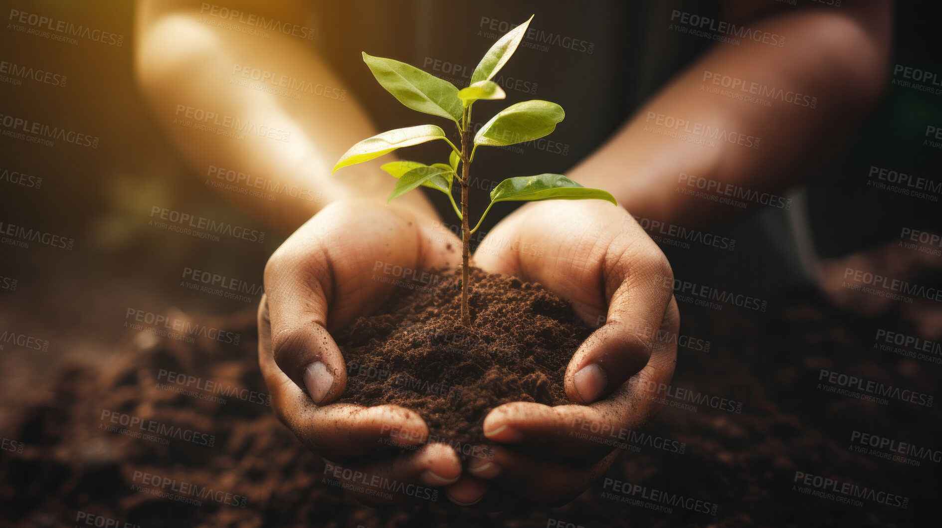 Buy stock photo Close Up Plant in hands. Care of the Environment. Sustainability concept