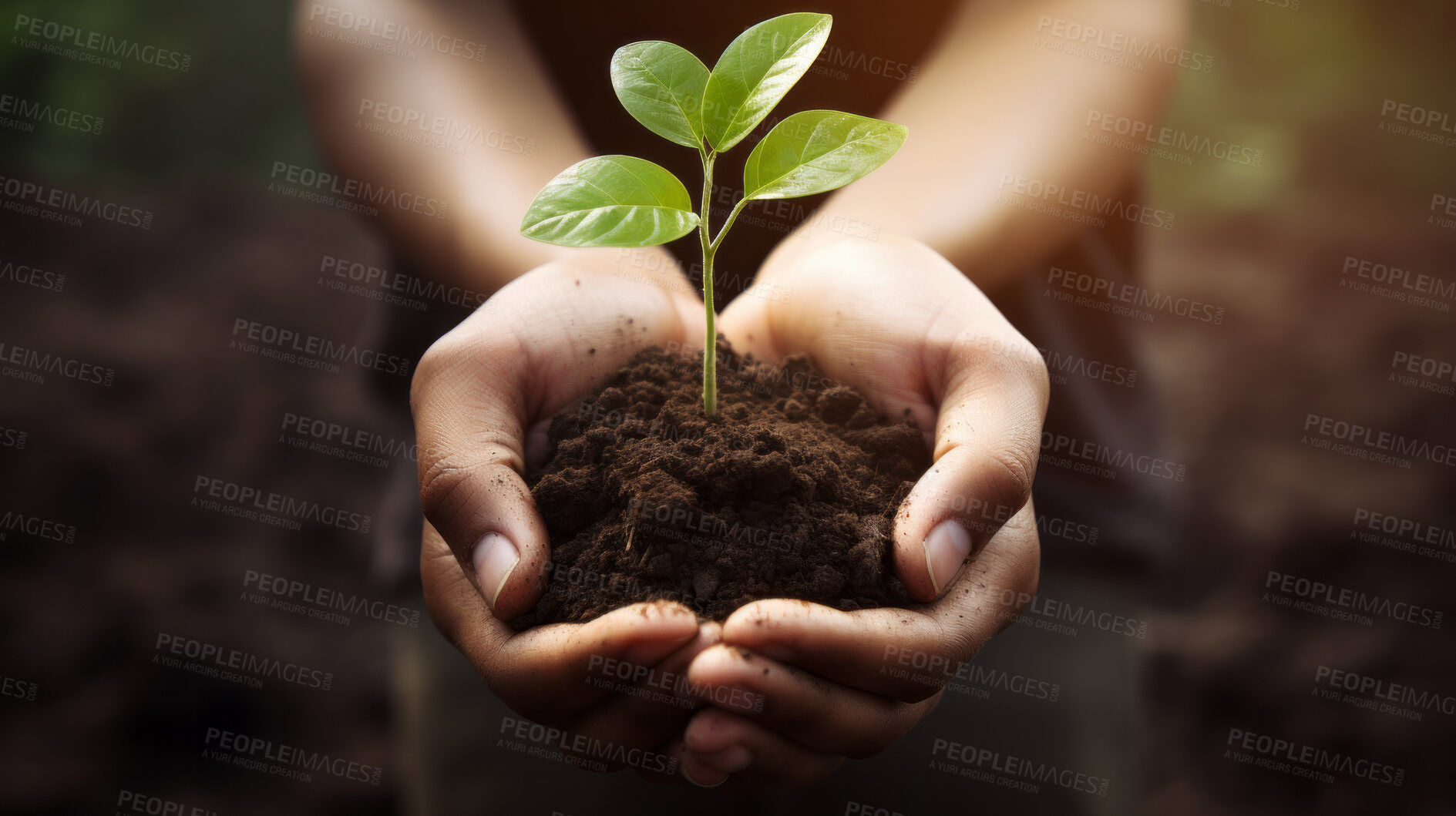 Buy stock photo Close Up Plant in hands. Care of the Environment. Sustainability concept