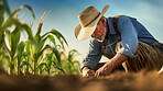 Field worker or Farmer checking health of plants and soil in the field. Farmer checks sprouts