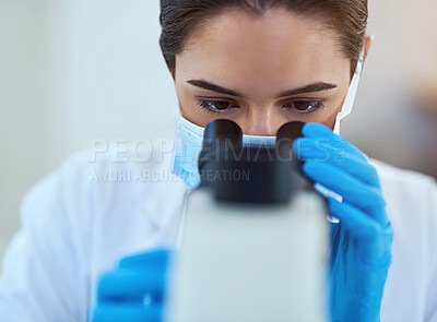 Buy stock photo Shot of a female scientist working alone in the lab